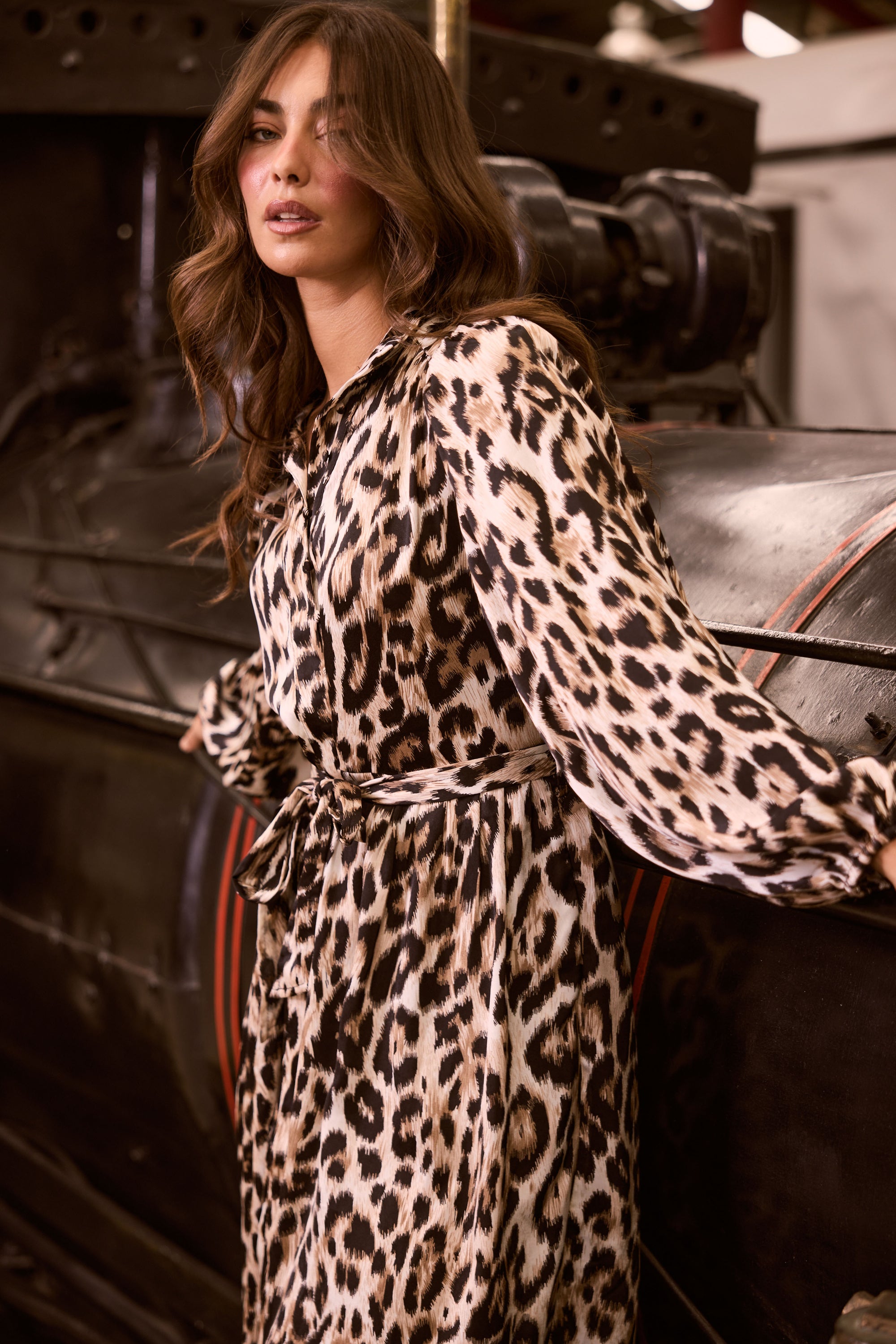 Model wearing Penny Dress in savannah print with high neck and balloon sleeves, detail view on white background